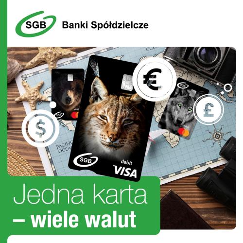 Jedna karta – wiele walut